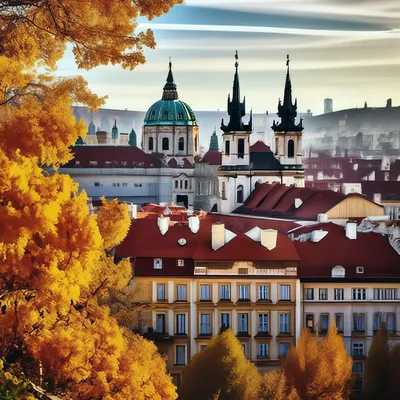 Прага - город ста башен - Интернет-журнал «Живой лес»