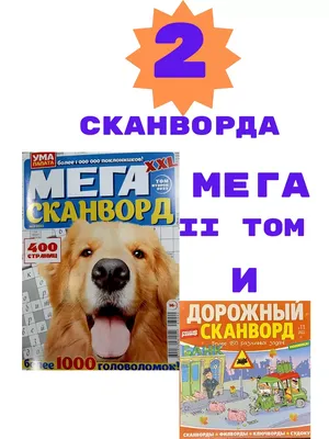 Заставляйте свой мозг работать нестандартно и держите его в тонусе! Как  чтение книг и кроссворды влияют на работу мозга рассказала врач-невролог  БСМП№1, заведующая отделением неврологии для больных с ОНМК Елена  Страутманис. |