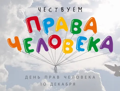 10 грудня - Міжнародний день прав людини | Донецька Обласна Державна  адміністрація