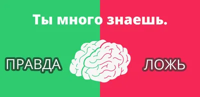 Правда или Ложь? - играть онлайн бесплатно на сервисе Яндекс Игры