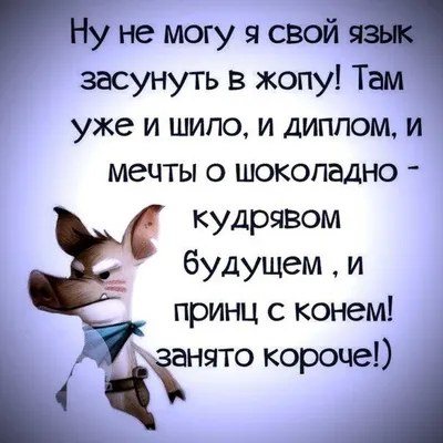 Instagram photo by Правда жизни • Apr 6, 2016 at 5:13pm UTC | Funny  expressions, Man humor, Motivation inspiration