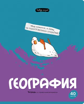 Тетрадь BG Правда жизни География, 40л ТП5ск40 12198 – купить онлайн,  каталог товаров с ценами интернет-магазина Лента | Москва, Санкт-Петербург,  Россия