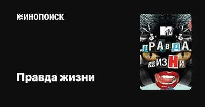 Тетрадь BG Правда жизни Химия, 40 листов - 4 шт. - купить с доставкой по  выгодным ценам в интернет-магазине OZON (1154061364)