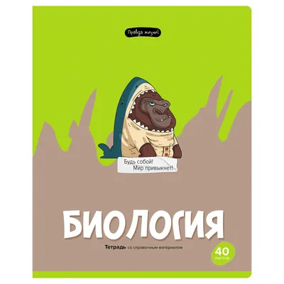 Тетрадь BG Правда жизни Геометрия, 40л ТП5ск40 12199 – купить онлайн,  каталог товаров с ценами интернет-магазина Лента | Москва, Санкт-Петербург,  Россия