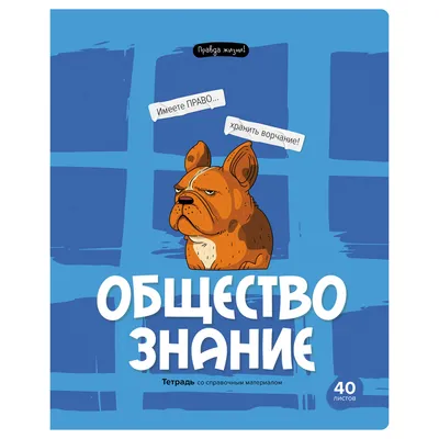 Тетрадь предметная 40л. BG "Правда жизни" - Обществознание купить по цене  31 руб. в Москве. Бесплатная доставка по России. Артикул ТП5ск40 12203