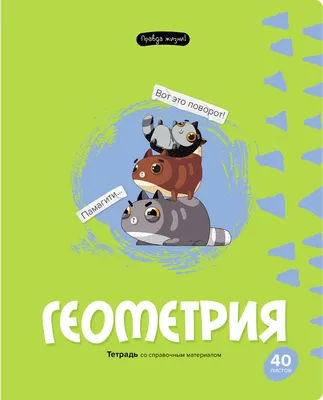 Тетрадь предметная 40л. BG "Правда жизни" - Биология (комплект из 20 шт) -  купить с доставкой по выгодным ценам в интернет-магазине OZON (1148081795)