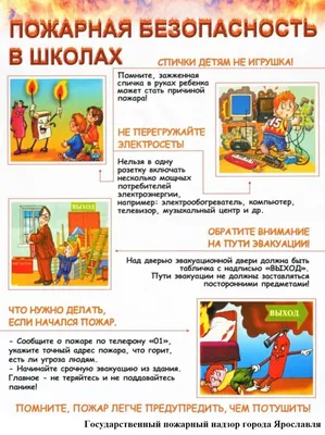 Почему в автомобиле, в поезде, в самолете и на корабле нужно соблюдать правила  безопасности? - YouTube