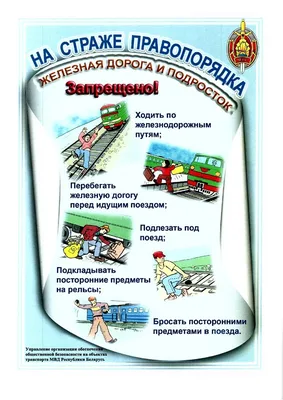 Дорожная безопасность