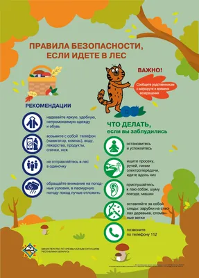 Правила безопасного поведения на природе - Могилевский государственный  областной лицей №3