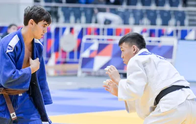 Разъяснение правил дзюдо IJF на 2018-2020 годы - Федерация борьбы дзюдо и  самбо города Сочи