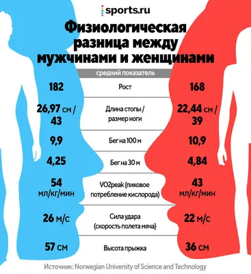 Правила футбола кратко по пунктам: основные моменты и как играть