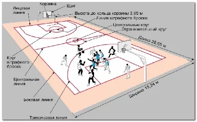 Основные правила баскетбола