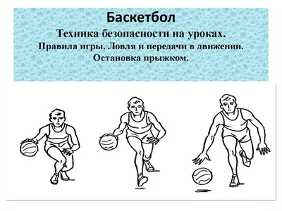 Боитесь смотреть баскетбол, потому что это игра для умных? Псс, это не так  страшно - Планшет - Блоги - 