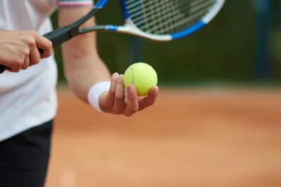 Основы большого тенниса: правила игры и техника ударов | Теннисный центр  "Подмосковье" | Дзен
