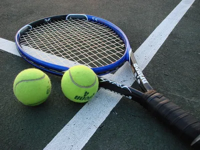 Пиклбол: пинг-понг, теннис и бадминтон в одном спорте, как появился, правила  игры и за что его любят - Чемпионат