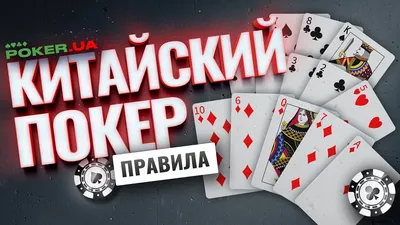 Правила покера для начинающих: как играть в покер новичку | PokerHouse