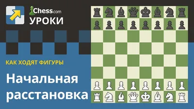 Со скольки лет отдавать ребенка на шахматы: 4, 7, 10 лет?