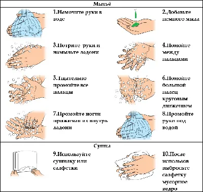 Правила личной гигиены для детей дошкольного возраста