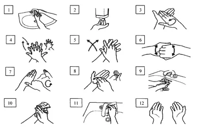 Плакат "Инструкция по мытью рук" - купить в интернет-магазине CentrMag по  лучшим ценам! (00-00006029)