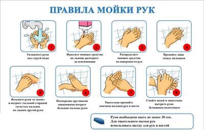 5 мая — День гигиены рук - ГУЗ «Гомельская городская клиническая  поликлиника №14»