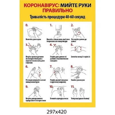 5 мая – Всемирный день гигиены рук | Управления Роспотребнадзора по  Ленинградской области