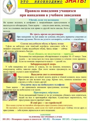 Обучающий плакат "Правила поведения в школе", А2, 60x44 см - купить с  доставкой по выгодным ценам в интернет-магазине OZON (200489603)