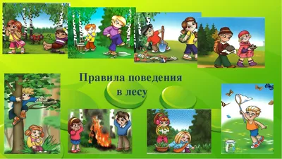 ПРАВИЛА ПОВЕДЕНИЯ В ЛЕСУ. ОБЩИЕ ТРЕБОВАНИЯ БЕЗОПАСНОСТИ ЛЕТОМ. - Центр  детско-юношеского туризма и краеведения