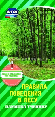 Правила поведения в лесу - Новости - Страница безопасности (ГО и ЧС) -  Общество - Омсукчанский муниципальный округ