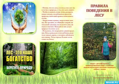 Памятка ученику "Правила поведения в лесу" – купить по цене: 2,70 руб. в  интернет-магазине УчМаг