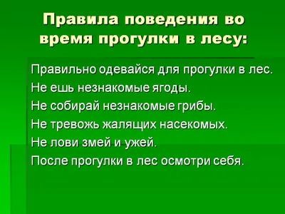 Правила поведения в лесу. Правила сбора грибов - Муниципальные новости -  НОВОСТИ / СОБЫТИЯ / ОБЪЯВЛЕНИЯ - Городской округ Заречный