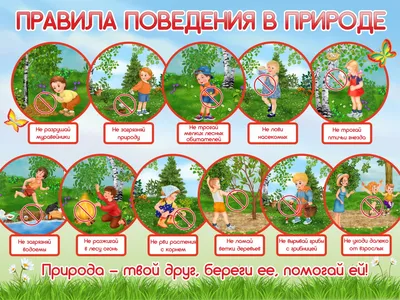 Сайт администрации МР "Удорский" - : Памятка "Правила поведения в  лесу"