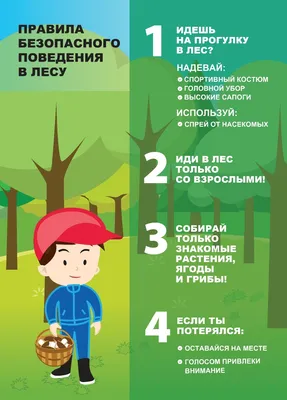 ПРАВИЛА ПОВЕДЕНИЯ В ЛЕСУ. ОБЩИЕ ТРЕБОВАНИЯ БЕЗОПАСНОСТИ ЛЕТОМ. - Центр  детско-юношеского туризма и краеведения