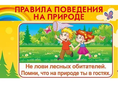 ТМ Мир поздравлений Плакат детский обучающий Правила поведения на природе А2