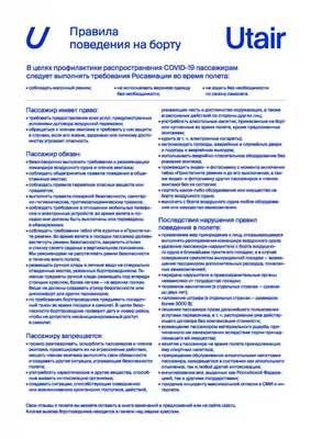 Основные правила поведения на борту. Безопасность в самолете. | Горящие  туры Авиабилеты путешествия | Дзен