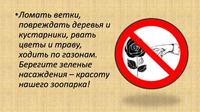 1 июня - День защиты детей в зоопарке — Анонсы — Официальный сайт города  Одесса