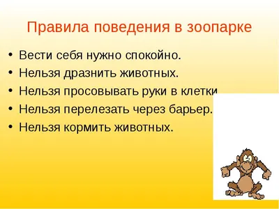 ЗООПАРК САДГОРОД ВЛАДИВОСТОК on Instagram: "📣Уважаемые посетители! Правила  поведения на территории зоопарка «Садгород» висят на входе у кассы. Большая  просьба, читайте и объясняйте своим детям, как себя вести. 🦁Зоопарк – это  музей