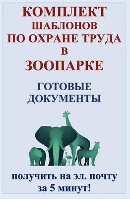 В белгородском зоопарке родителям рассказали о «смертельном случае» с  детьми на самокатах. Позже это назвали «теоретическим примером» — 