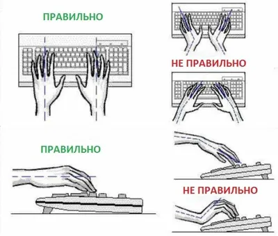 Как правильно сидеть за компьютером чтобы не болела спина и шея | Ergo Place