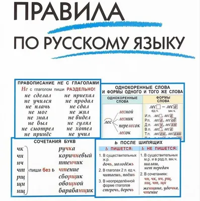 Книга "Летние задания по русскому языку для повторения и закрепления  учебного материала. Все правила русского языка. 1 класс" Узорова О.В -  купить в Германии | 