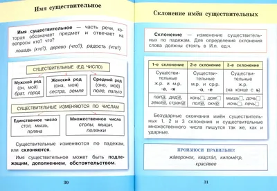 Книга: "Все правила русского языка в картинках. 1-4 классы" - Марина  Селиванова. Купить книгу, читать рецензии | ISBN 978-5-40700-805-7 |  Лабиринт