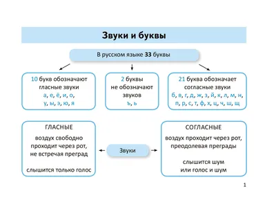Правила русского языка картинки