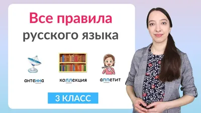 Все правила русского языка с примерами ИД ЛИТЕРА 15020489 купить за 242 ₽ в  интернет-магазине Wildberries