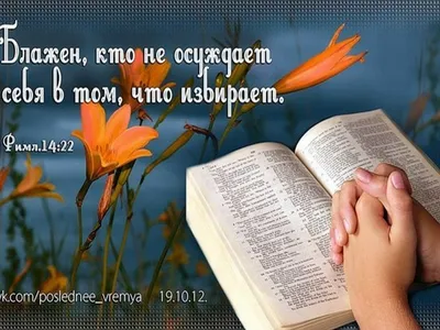 Православные цитаты (#427) - Хандусенко — КОНТ