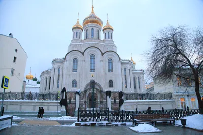 Рецепты Рождественского сочельника - Православный журнал «Фома»