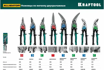 МИД РП критикует председателя Еврокомиссии за высказывания в адрес правых  сил - Русская редакция - 