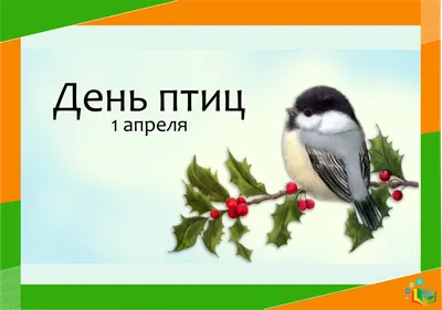 Экологический праздник «День птиц» - Культура - Новости - Сайт  инвестиционных и туристических ресурсов г. Читы