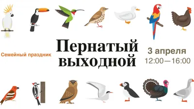 1 апреля, Международный день птиц-праздник единения человека с природой —  КГБПОУ "Бийский техникум лесного хозяйства"