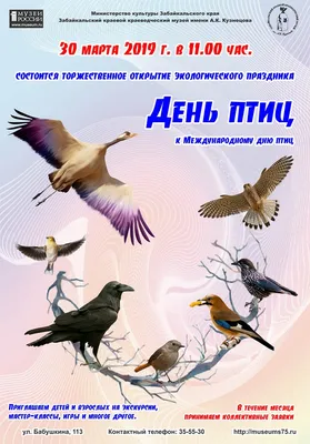 Праздник птиц «Яркое царство пернатых» | Централизованная библиотечная  система города Ярославля