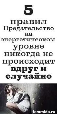 Горькая правда жизни (Айдар Замальдинов) / Читать онлайн