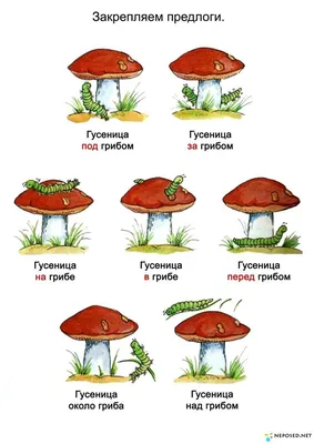 Знакомим Ребенка с Предлогами